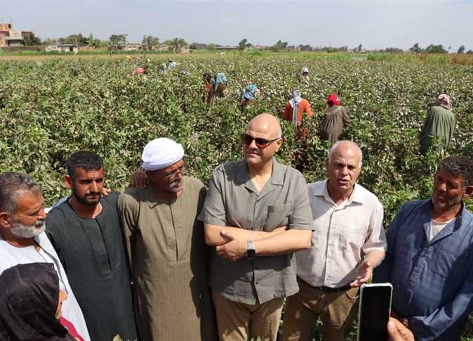 محافظ القليوبية يفتتح موسم جنى القطن