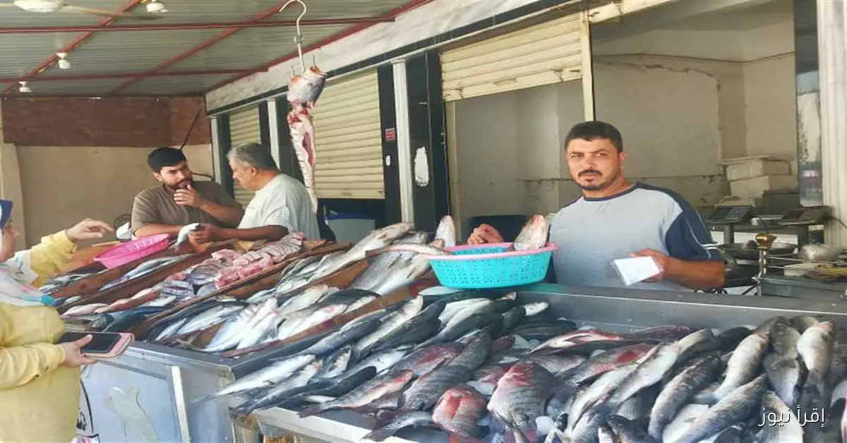 أسعار السمك البلطي والسردين والجمبري في الأسواق اليوم الجمعة 26 سبتمبر 2025