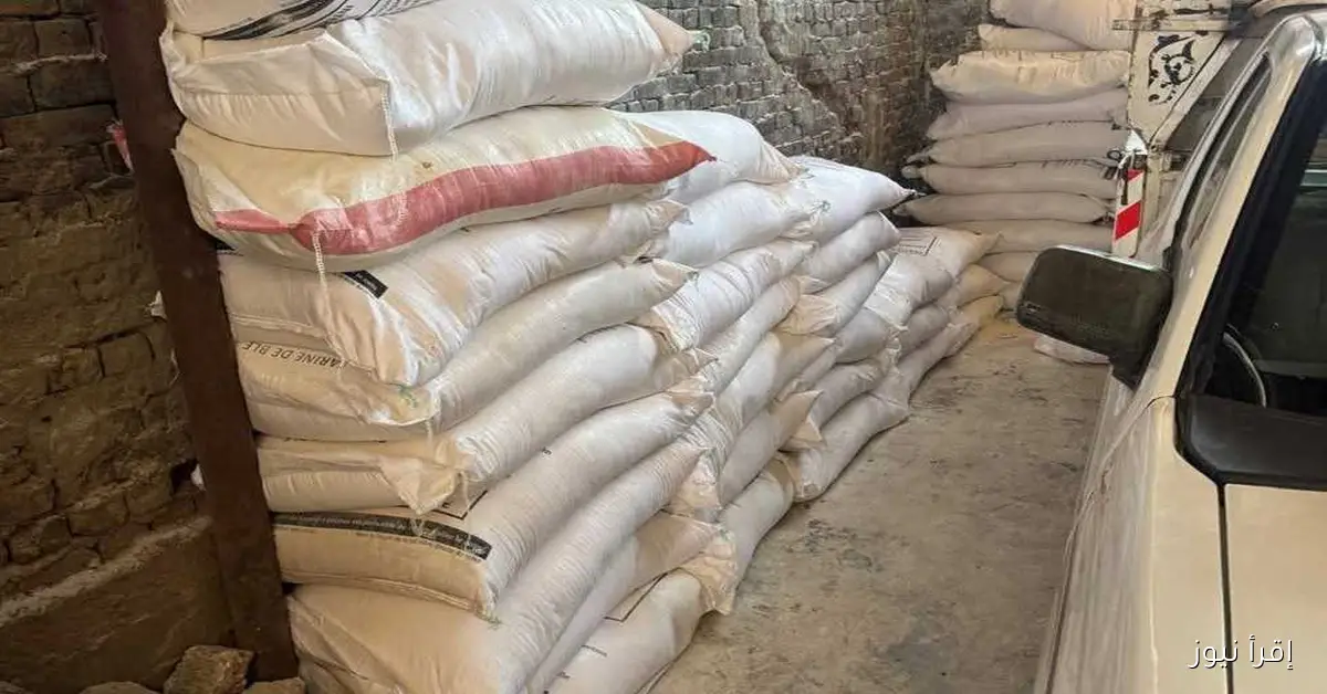 ضبط 8.5 طن من الدقيق المدعم قبل تهريبه إلى السوق السوداء في حملة بالجيزة
