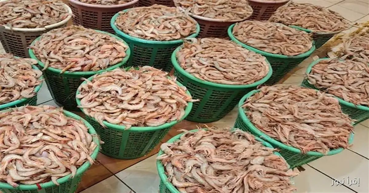 أسعار الجمبري والكابوريا والسمك البلطي في أسواق محافظة دمياط غدًا
