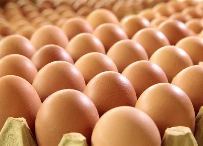 أسعار البيض اليوم