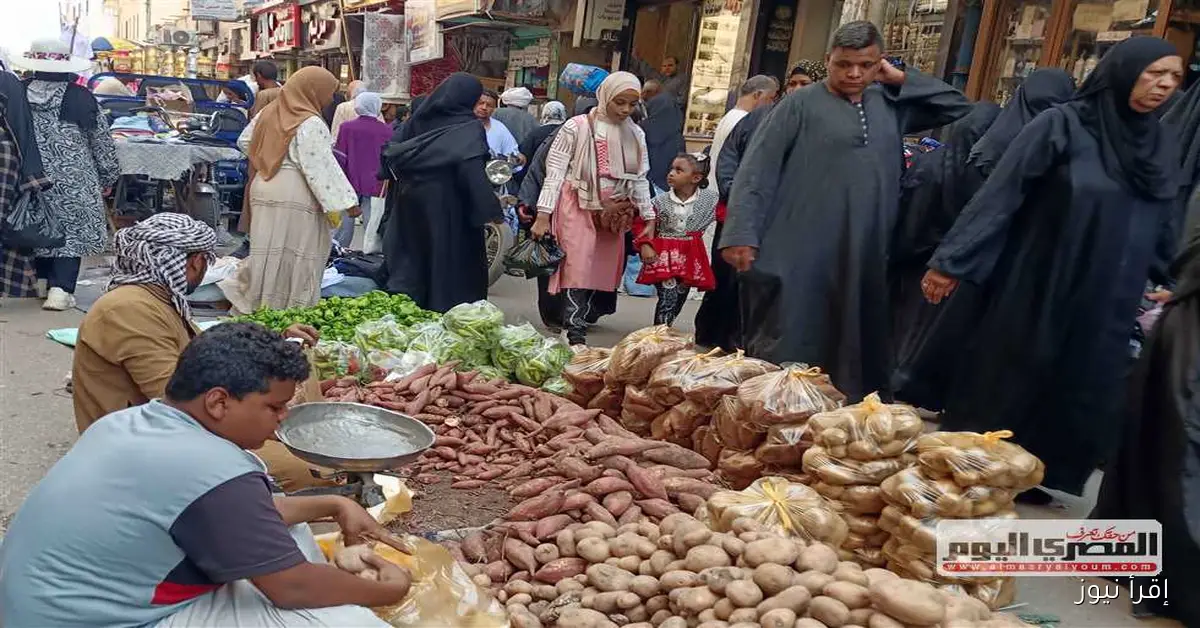 سعر الطماطم يصل إلى 19 جنيهاً في أسواق الخضروات اليوم الاثنين 29 سبتمبر 2025