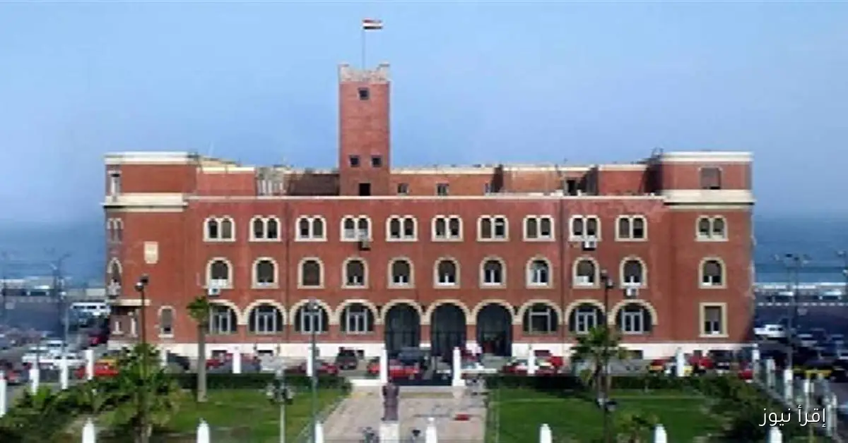 74 أستاذًا من جامعة الإسكندرية يبرزون في قائمة ستانفورد لأفضل 2% من علماء العالم لعام 2024