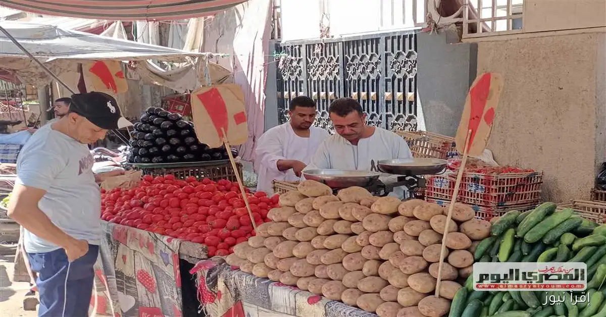أسعار الخضار في أسواق أسوان اليوم الثلاثاء 30 سبتمبر 2025: كيلو الطماطم بـ 25 جنيهًا