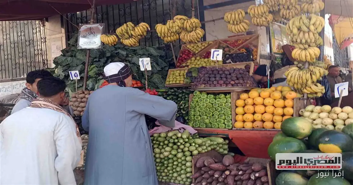 أسعار الخضار والفاكهة اليوم الإثنين 29 سبتمبر 2025 في أسواق الشرقية: الكوسة بـ 25 جنيها