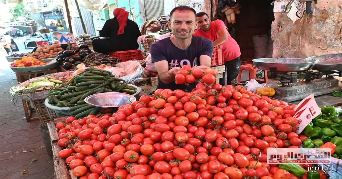 أسعار الخضروات في أسواق الأقصر اليوم الجمعة 26 سبتمبر 2025