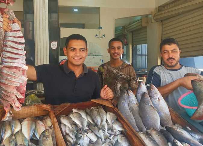 السمك فى مطروح - صورة أرشيفية