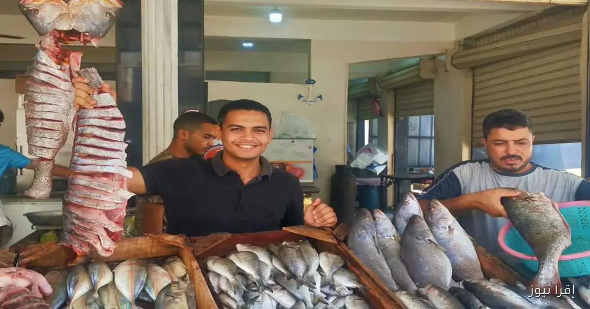 أسعار السمك في مطروح ليوم الخميس