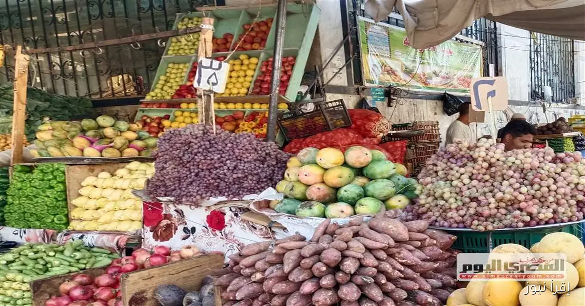 أسعار الفاكهة الصيفية في أسواق الإسكندرية اليوم: الجوافة بسعر 25 جنيه فقط