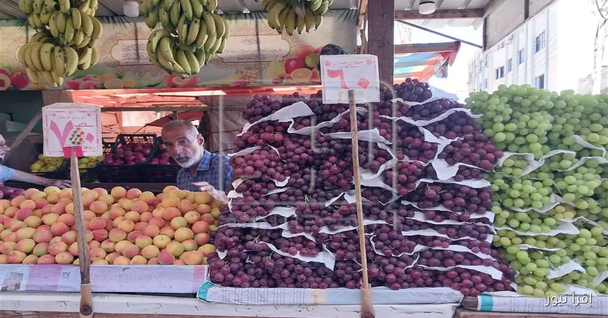 أسعار الفاكهة غدًا في أسواق الجملة بمحافظة دمياط: التفاح بـ100 جنيه