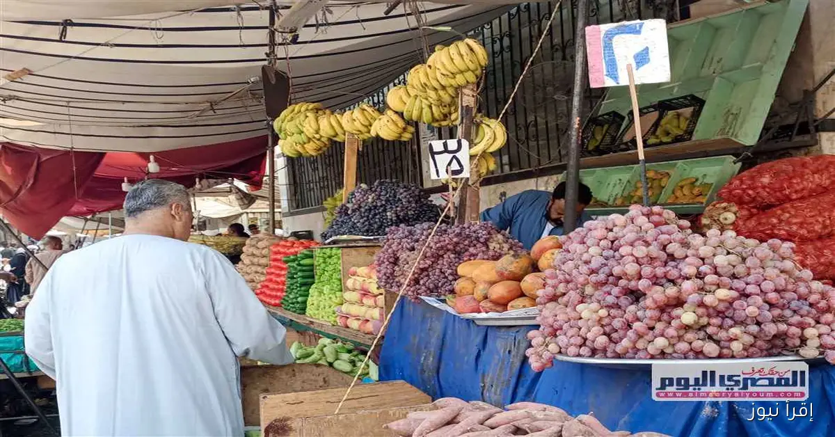 أسعار الفاكهة في أسواق الإسكندرية اليوم الخميس: الجوافة بـ25 جنيهًا