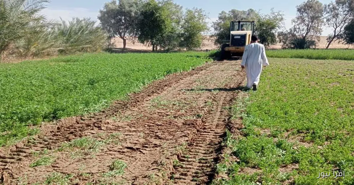 إزالة تعديات على أراضٍ زراعية ورفع 60 طنًا من المخلفات الصلبة في قريتين بالأقصر