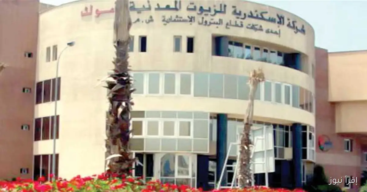 «اجتماع عمومية أموك يوافق على توزيع أرباح بمليار جنيه وتعديل السنة المالية»