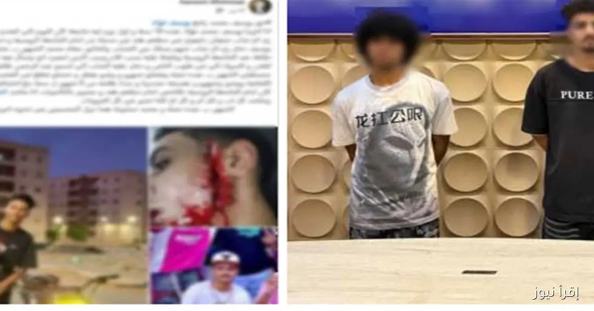 الداخلية توضح تفاصيل حادث الاعتداء على عامل توصيل باستخدام “كتر” في القاهرة