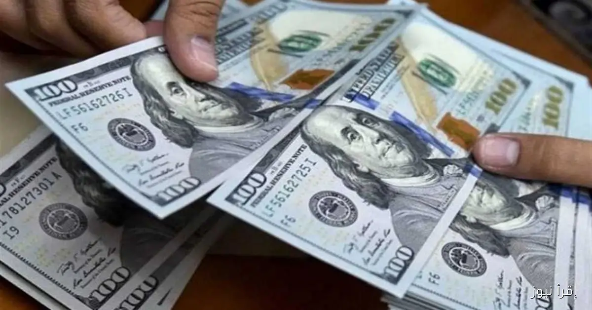 الدولار الأمريكي يسجل أعلى مستوى له اليوم الخميس 25 سبتمبر 2025 وتأرجح في أسعار العملات الأجنبية الأخرى