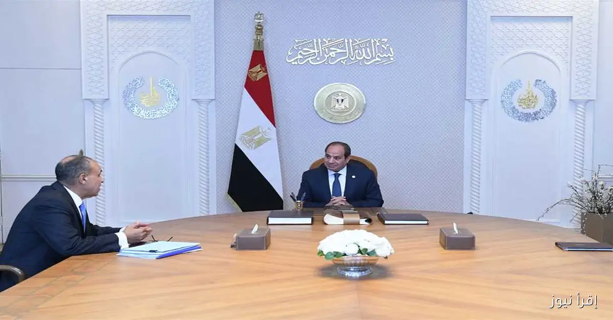 السيسي يستعرض التقرير التنفيذي الرابع للاستراتيجية الوطنية لحقوق الإنسان