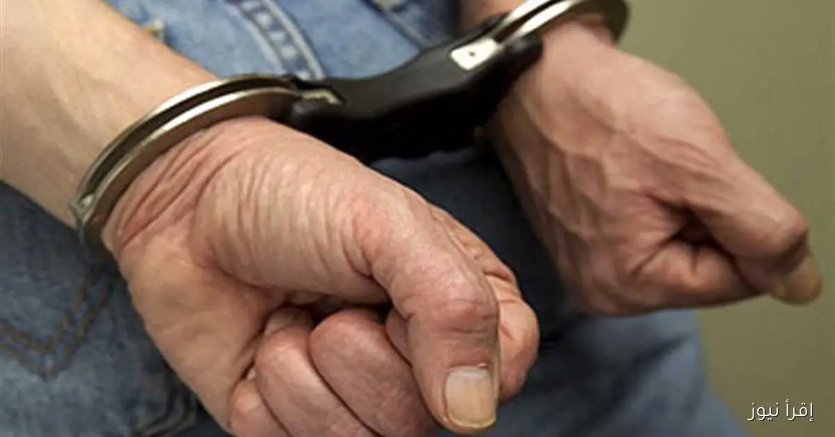 القبض على عاطلين بتهمة سرقة هاتف محمول من سيدة في الجيزة