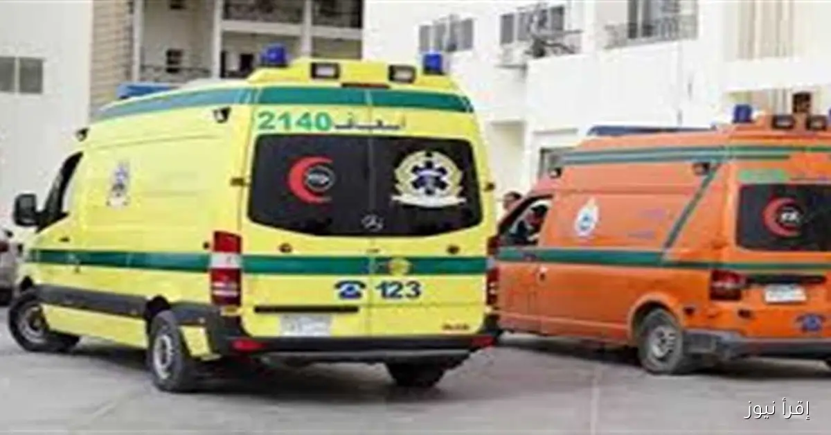 انقلاب شاحنة ثقيلة على الطريق الإقليمي في المنوفية