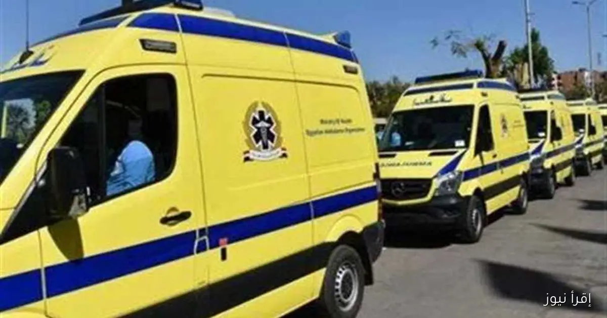 بعد وفاة وإصابة 21 شخصًا، بيان أول من صحة المنيا حول حادث أتوبيس طريق الصعيد الصحراوي