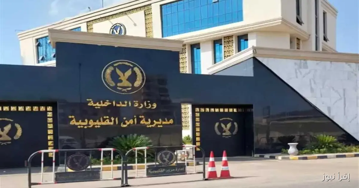 توقيف عصابة متخصصة في الاتجار بالمخدرات في بنها تتضمن آيس وبودرة وسلاح