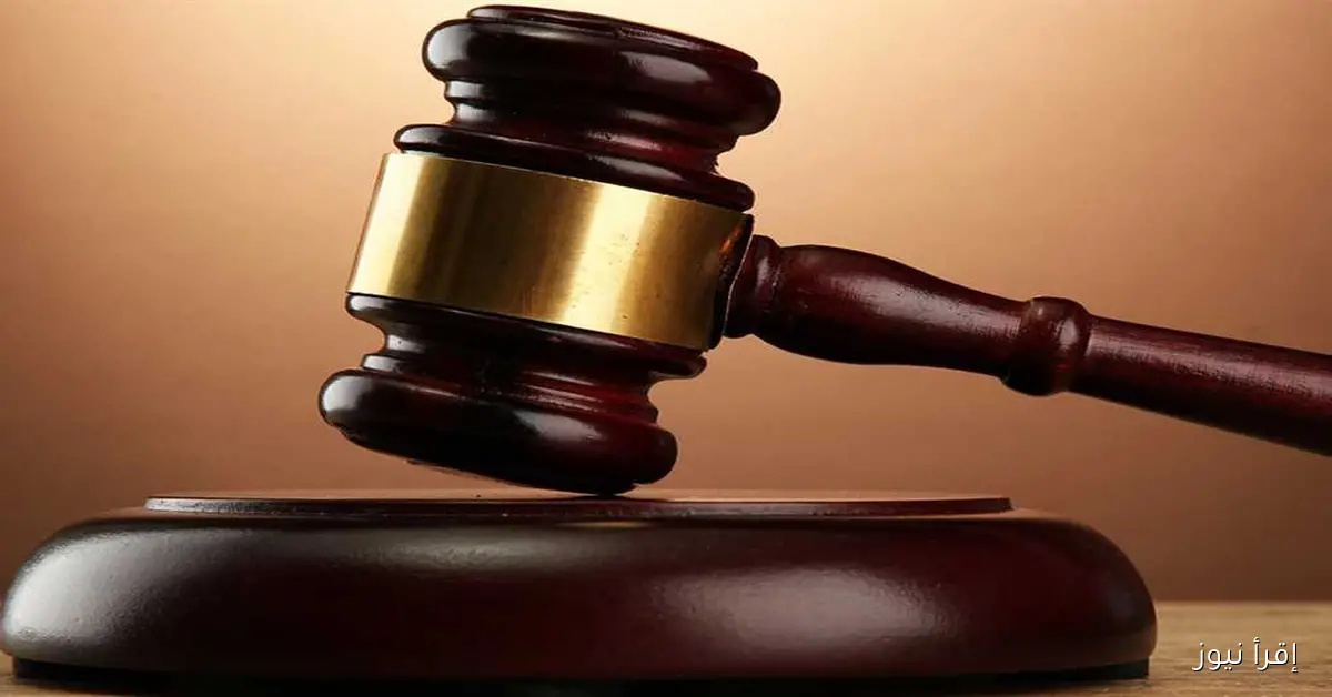 «حمادة ينتحل اسم شقيقه للهروب من عقوبة المخدرات.. جنايات المنيا تقضي بحبسه عاماً بتهمة التزوير»