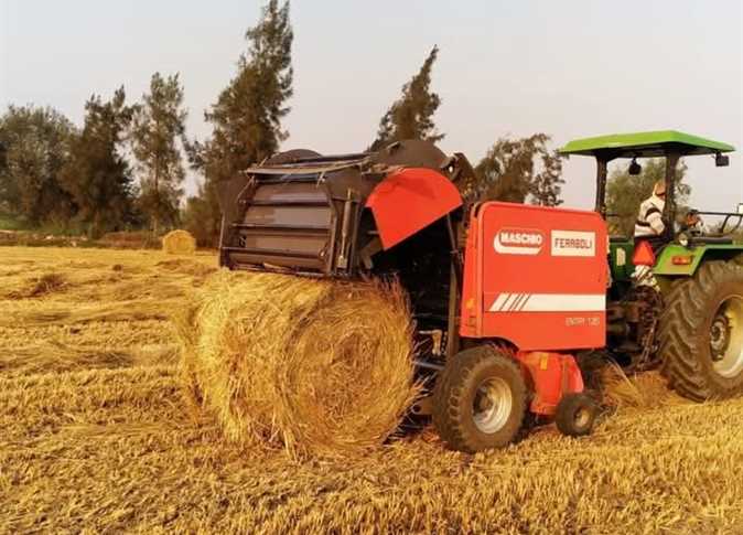 طن الشعير الآن.. سعر الأرز اليوم