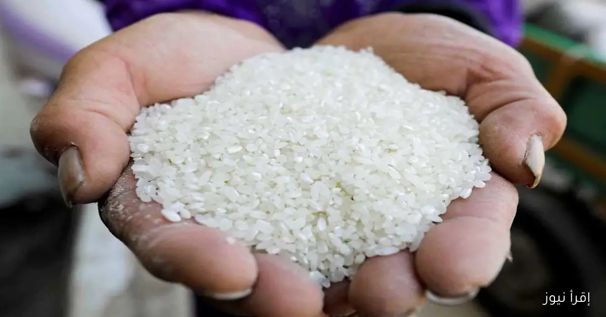 سعر طن الشعير والأرز اليوم الثلاثاء 30 سبتمبر 2025 في الأسواق