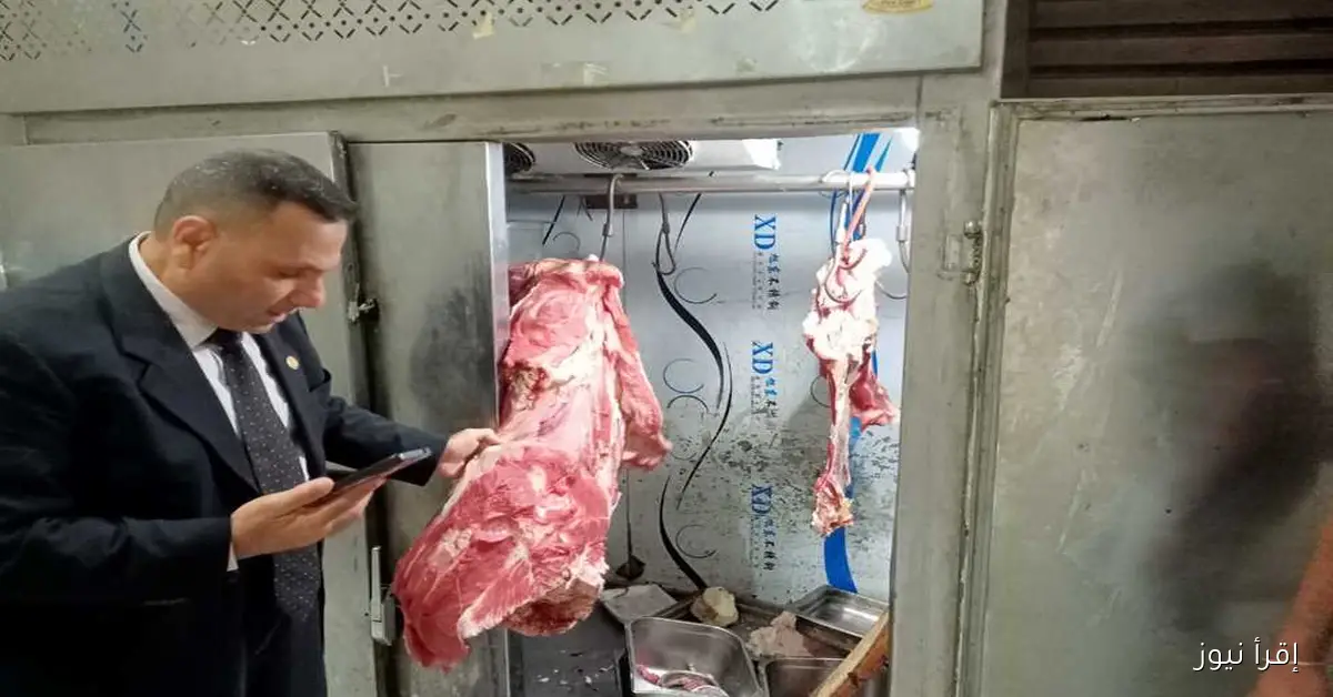 ضبط 21 مخالفة تموينية خلال حملة فجرية في الإسكندرية مع صور توثيقية