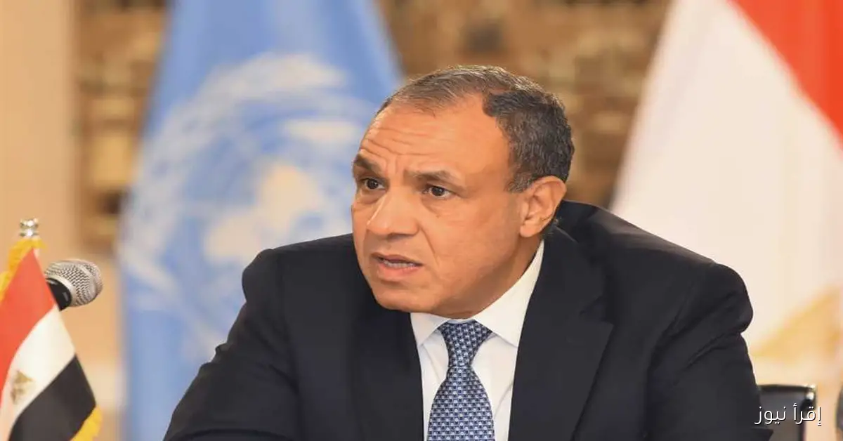 «عبدالعاطي»: وزارة الخارجية هي الدرع الأول لحماية المصالح المصرية