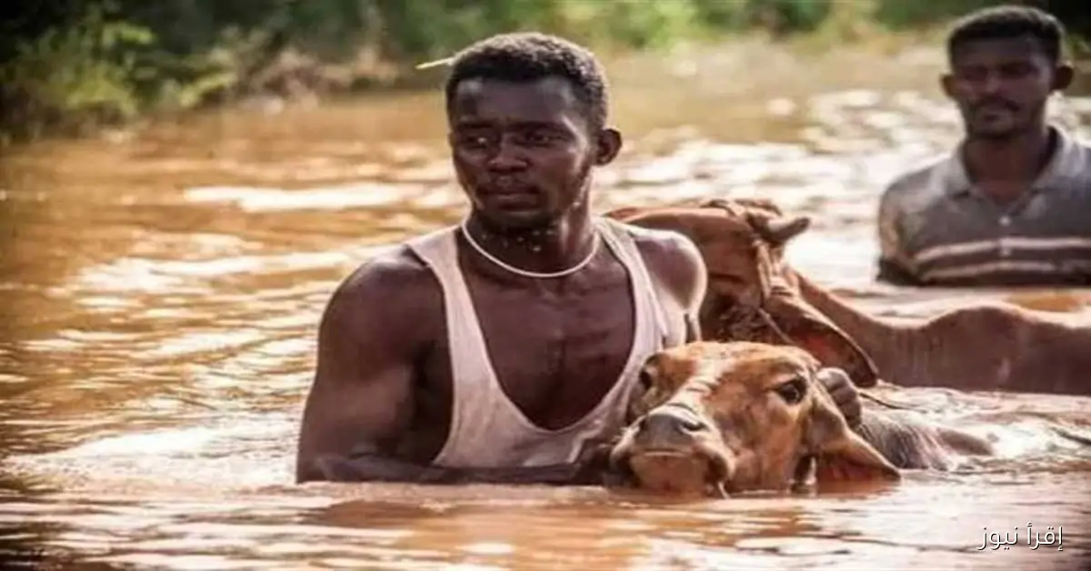 فيضانات السودان: عباس شراقي يكشف حقائق جديدة حول السد الإثيوبي