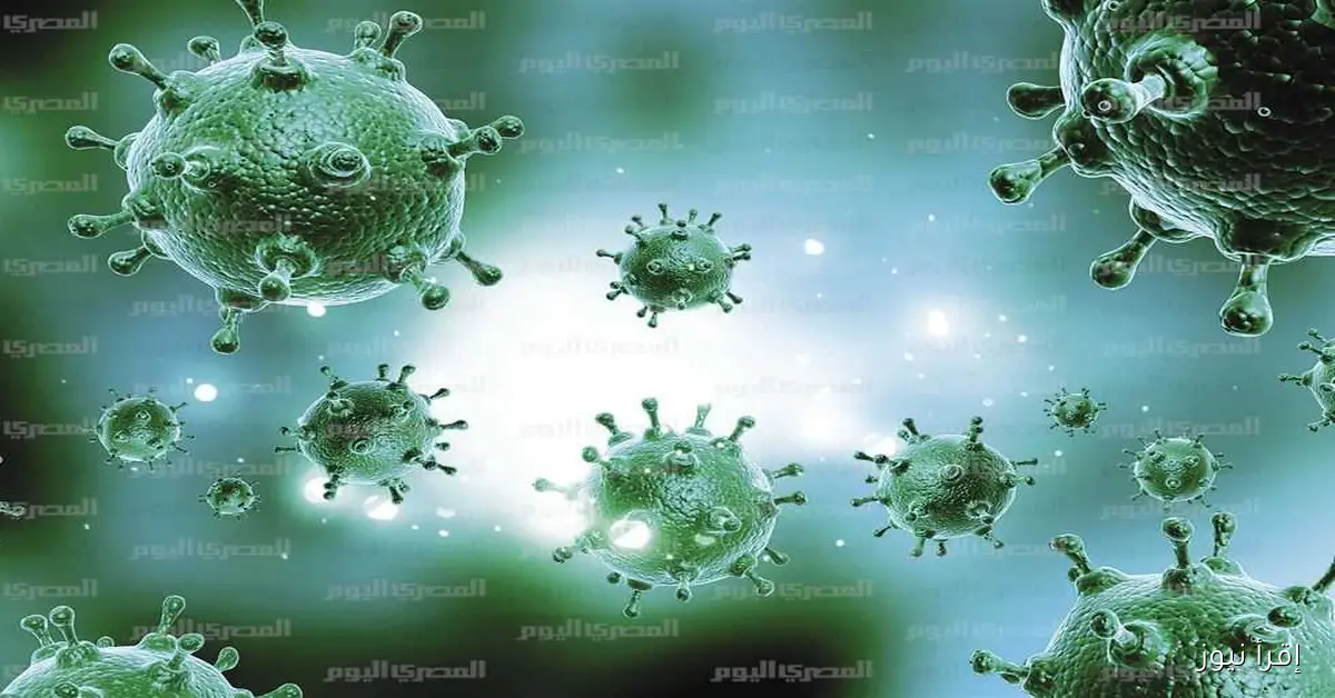 كل ما تحتاج معرفته عن البكتيريا الكابوسية وسبل الوقاية بعد انتشارها في أمريكا