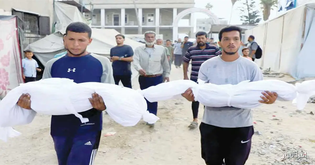 وزارة الصحة في غزة: 453 شهيداً بينهم 150 طفلاً نتيجة المجاعة وسوء التغذية