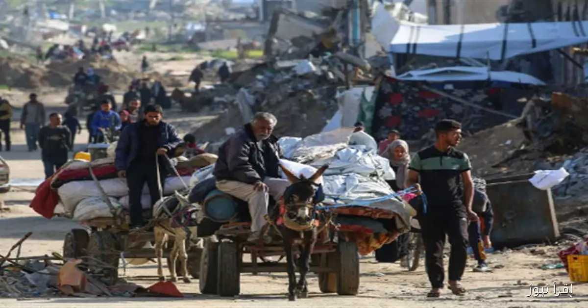 وزارة الصحة في غزة: 50 شهيدًا و184 مصابًا في مستشفيات القطاع خلال الـ 24 ساعة الماضية