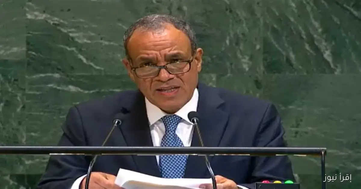 وزير الخارجية في الأمم المتحدة: الشرق الأوسط يواجه خطر الانفجار وإثيوبيا تتوهم أن مصر ستتنازل عن حقوقها