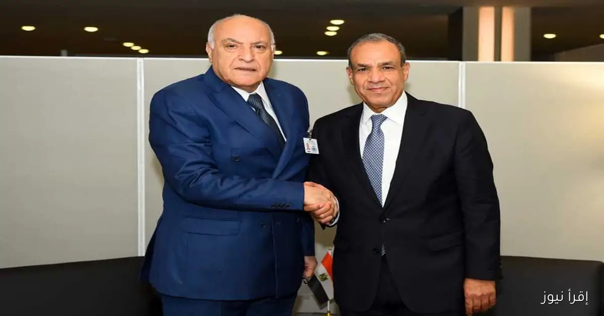 وزير الخارجية يؤكد لنظيره الجزائري استعداد الشركات المصرية للمساهمة في مشاريع التنمية في الجزائر