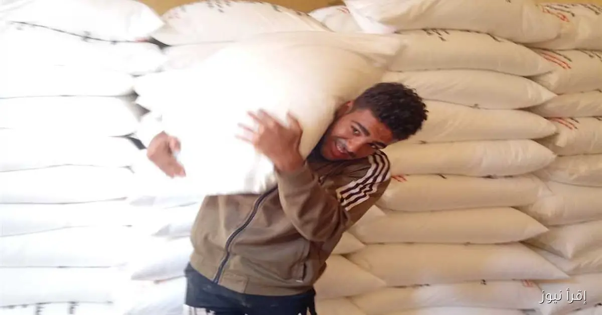 وزير الزراعة يعلن عن تمديد موعد صرف الأسمدة الصيفية حتى هذا التاريخ