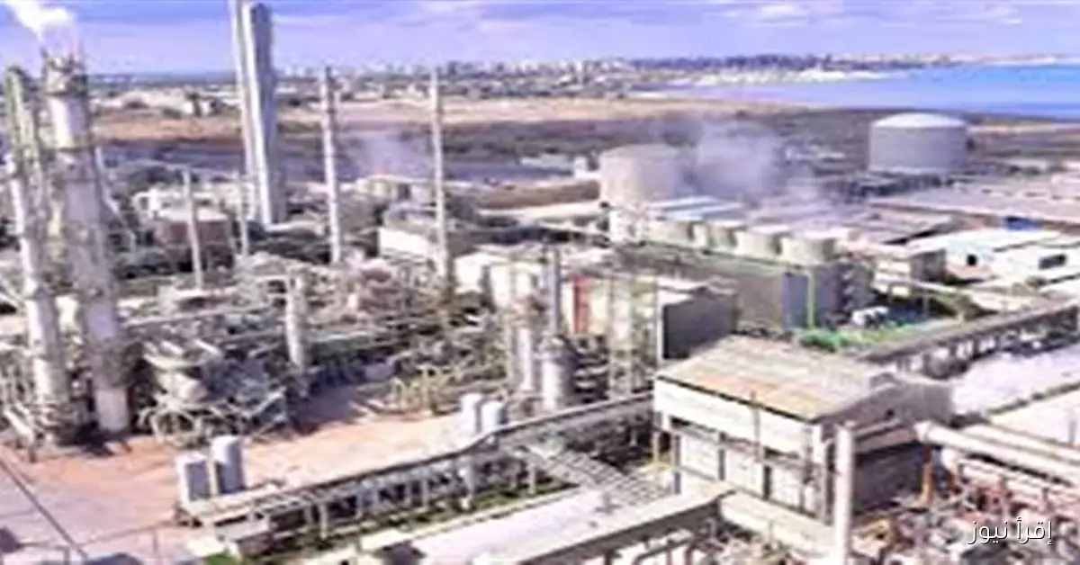 وكيل «صناعة النواب» يوضح أسباب تعثر المصانع ويقدم اقتراحات للحل