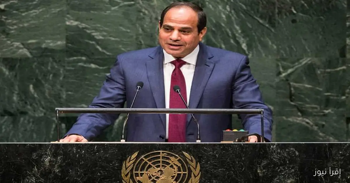 جولات السيسي الخارجية: 181 زيارة إلى 62 دولة خلال 10 سنوات