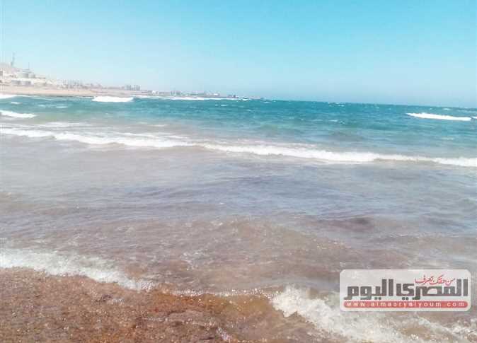 انتهاء أعمال إزالة آثار التلوث البترولي من شاطئ «رأس شقير»