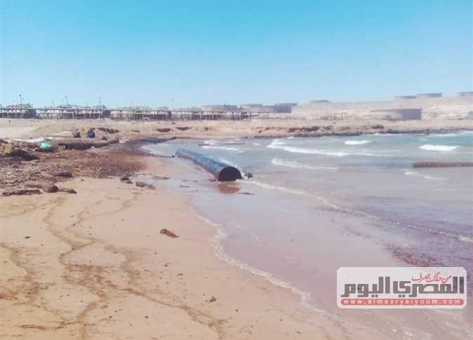 انتهاء أعمال إزالة آثار التلوث البترولي من شاطئ «رأس شقير»