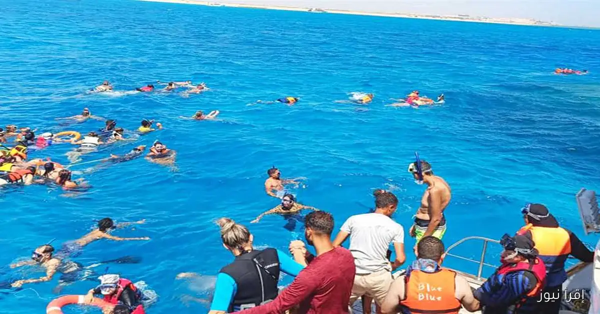 تحديات الشعاب المرجانية في البحر الأحمر: الغوص والسنوركلينج كأبرز العقبات