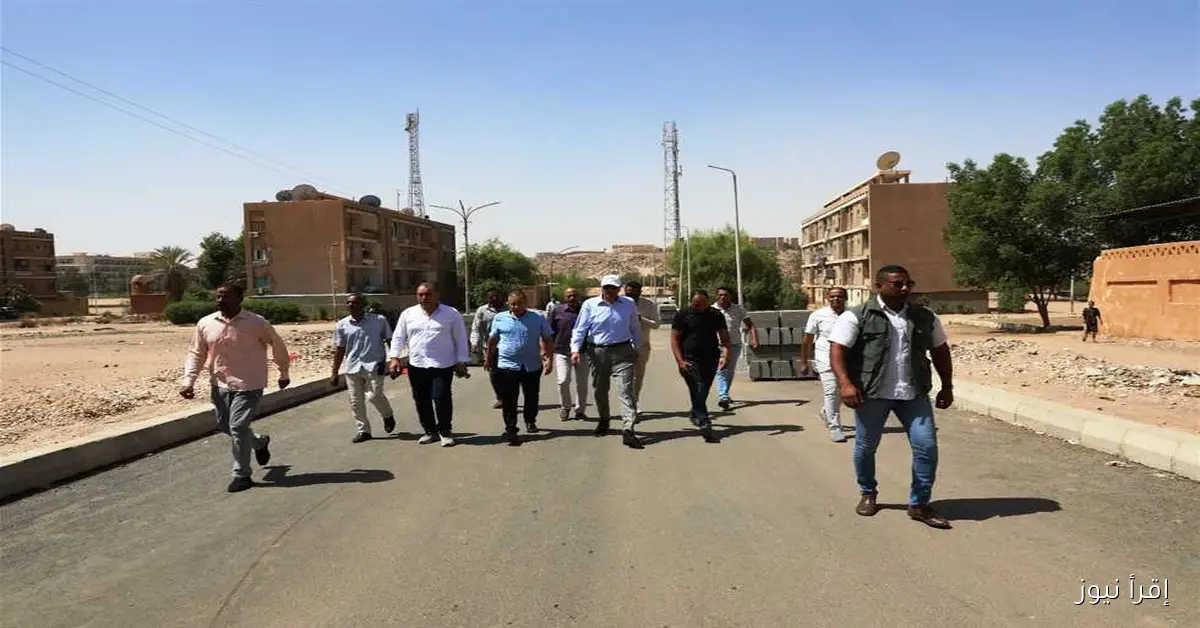 93% من أعمال تطوير ورصف طريق كيما-السماد في أسوان تكتمل