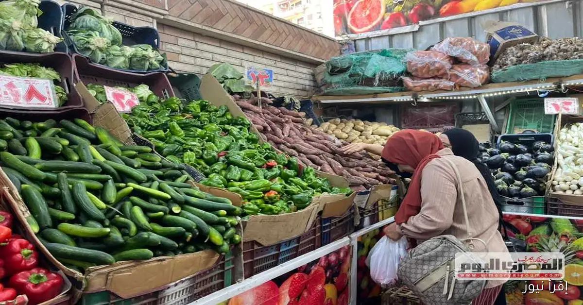 أسعار الخضار في أسواق الإسكندرية اليوم: البامية بـ50 جنيهًا السبت 4 أكتوبر 2025