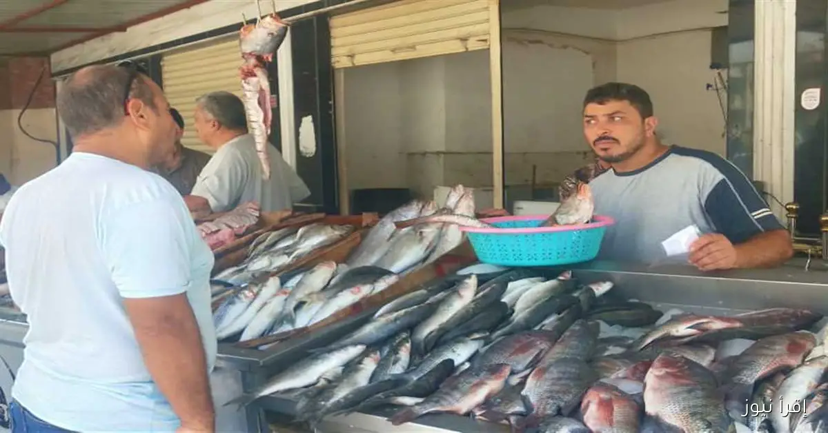 أسعار السمك اليوم في مطروح: البلطي بـ90 جنيهًا