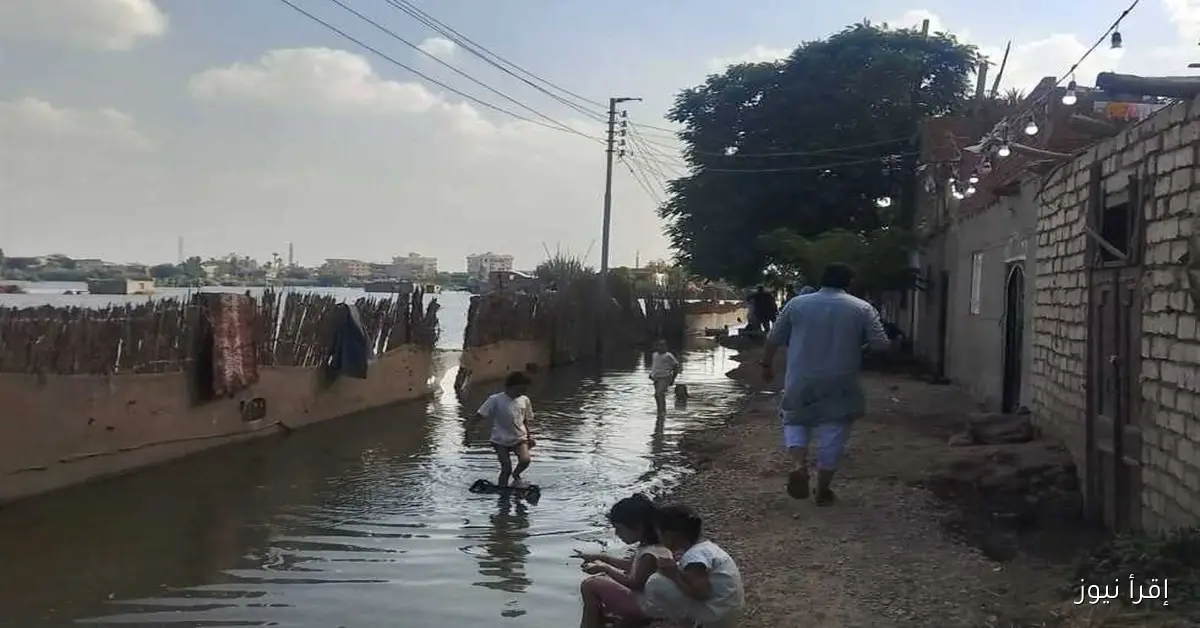 «أطفال قرية في المنوفية يبتكرون مصيفًا جديدًا باستخدام الطشت بدلًا من العوامة»