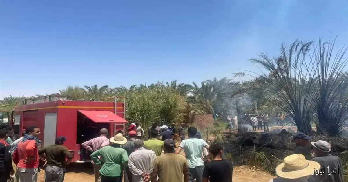إخماد حريق في مزرعة نخيل بالوادي الجديد