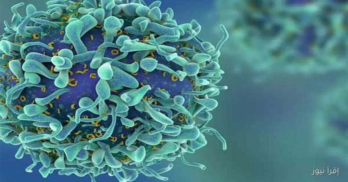 إغلاق فصل دراسي في مدرسة بالمريوطية: كل ما تحتاج معرفته عن مرض HFMD وسبل الوقاية منه