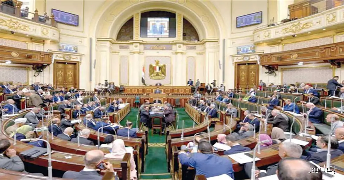 «الهيئة الوطنية للانتخابات تعلن عن إجراء انتخابات النواب على مرحلتين في 240 دائرة انتخابية»