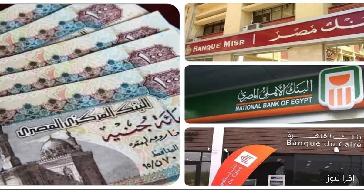 بعد قرار المركزي: تعرف على أعلى شهادات الادخار في البنوك وكيف تحقق أرباحًا تصل إلى 100 ألف شهريًا