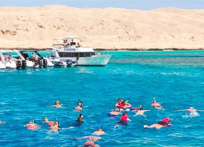 الشعاب المرجانية بالبحر الأحمر تحتاج إلى ضوابط لحمايتها